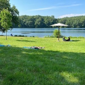 Meet your Posher, Ramon